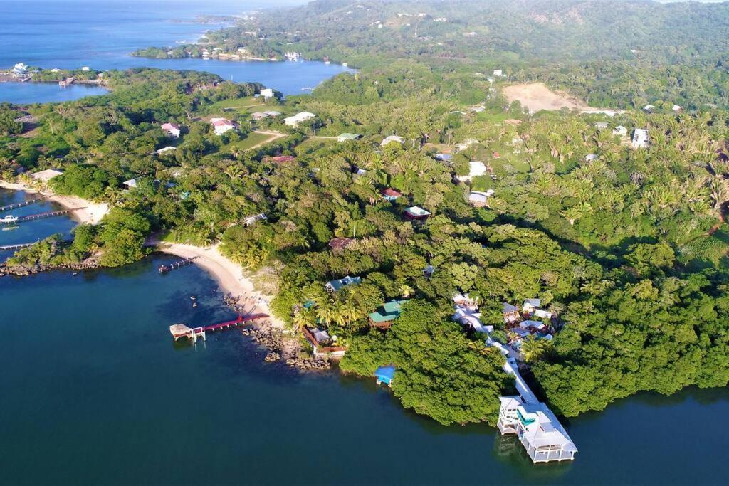 The Dock Resort Over Water Retreat ويست ايند المظهر الخارجي الصورة